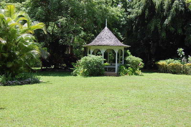 Inn At Shaw Park Gardens & Waterfalls Ocho Rios Ngoại thất bức ảnh