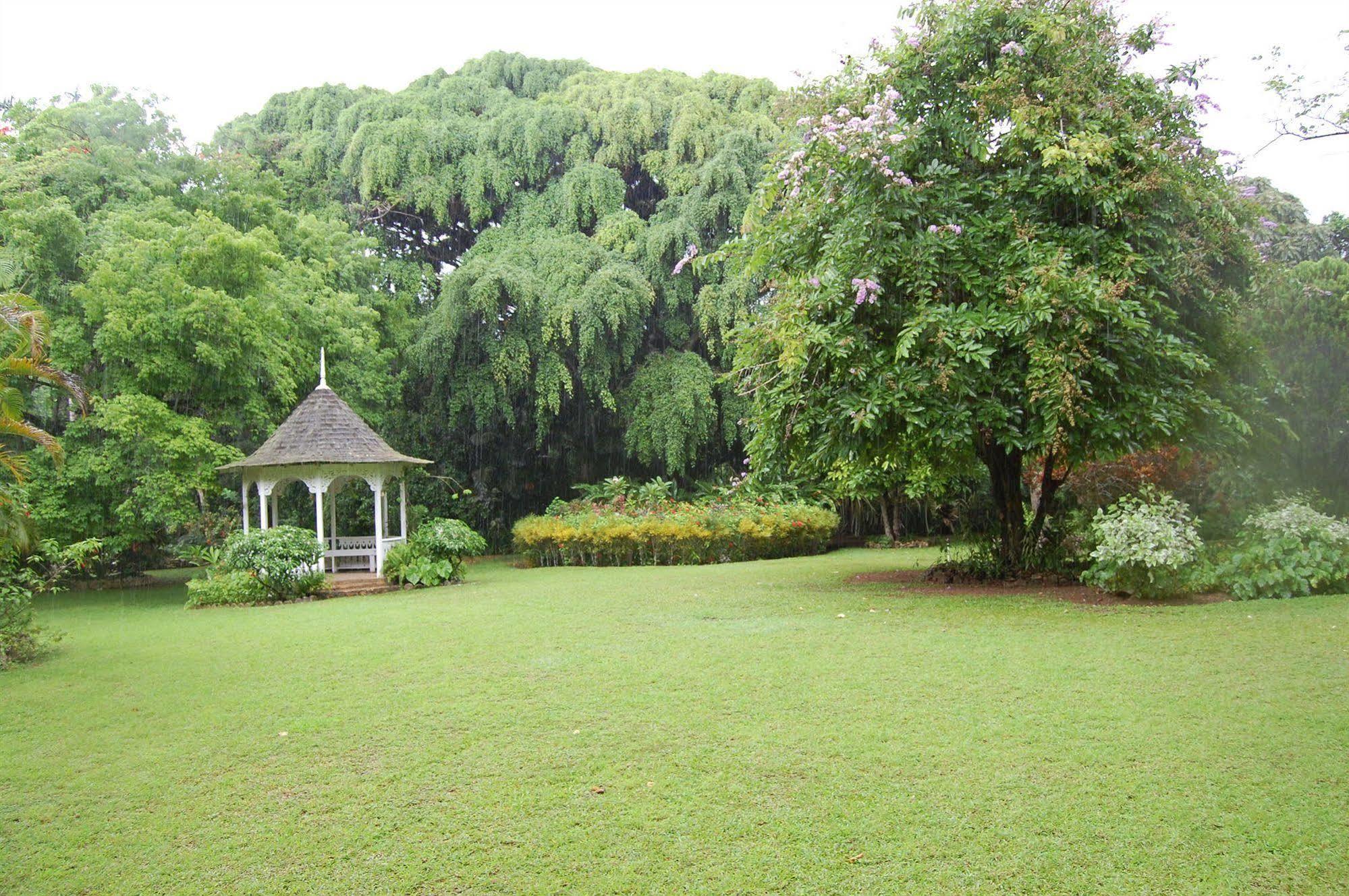Inn At Shaw Park Gardens & Waterfalls Ocho Rios Ngoại thất bức ảnh