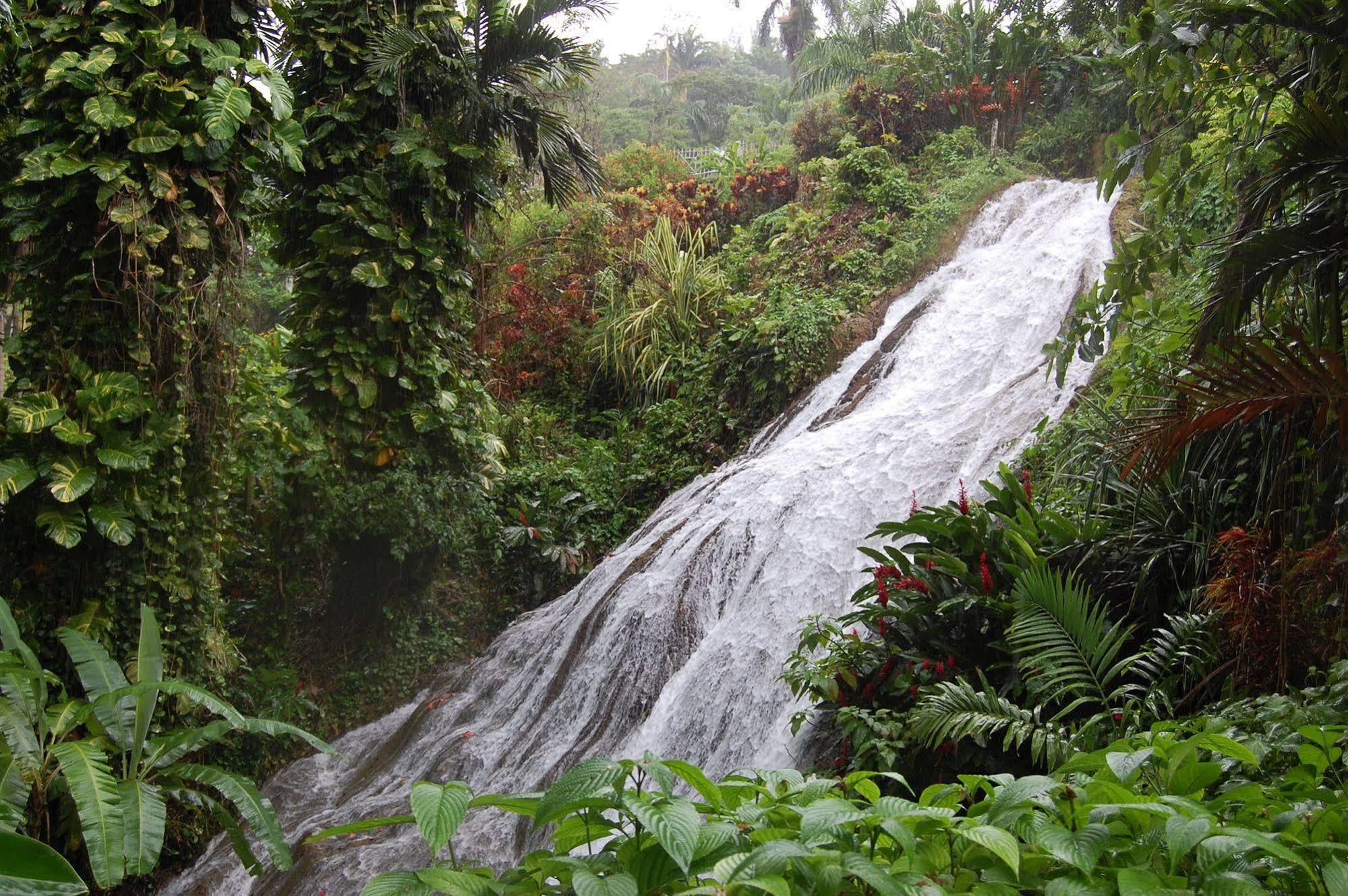 Inn At Shaw Park Gardens & Waterfalls Ocho Rios Ngoại thất bức ảnh
